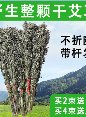 野生整颗干艾草60颗泡澡泡脚