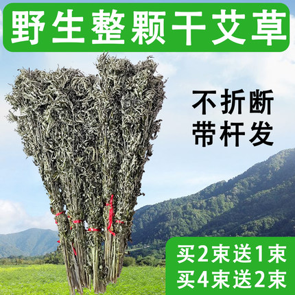 整棵干艾草叶坐月子艾叶草泡脚包家用挂门野生带杆散装艾蒿叶泡澡
