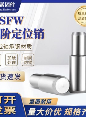 销钉台阶销圆柱定位销阶梯轴内螺纹销子MFSW轴承钢5/6/8/10/13