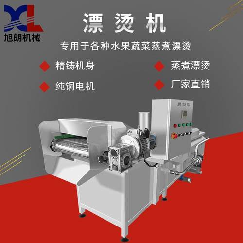 全自动蒸煮漂烫机豆角红薯干黄桃水果食品巴氏蔬果漂烫机厂家