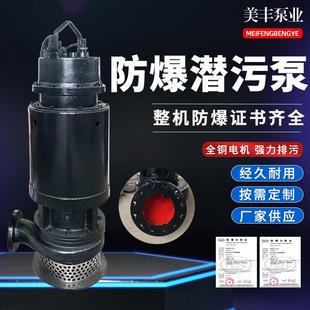 美豊铸铁潜水泵防爆潜污泵污水处理排污泵IICQQW37KW