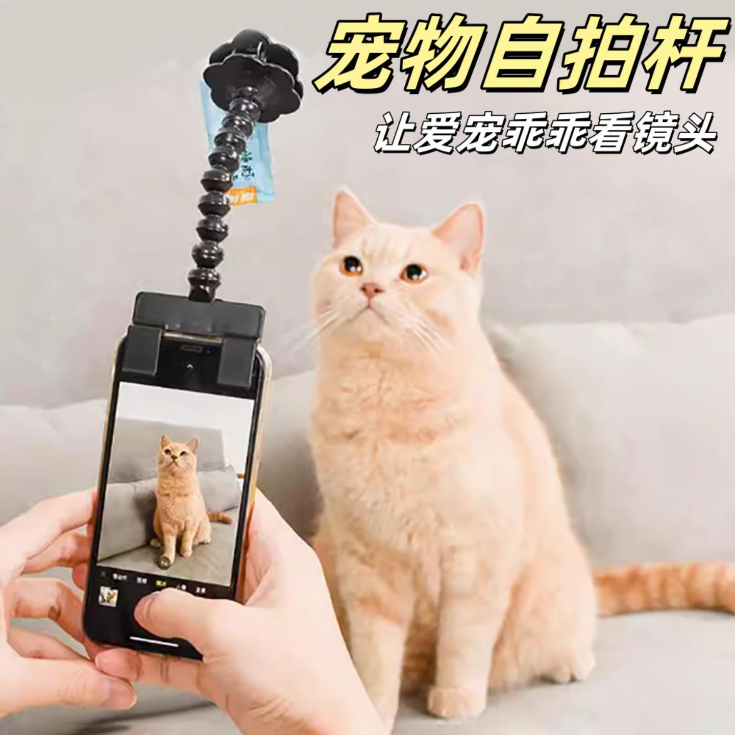宠物塑料自拍杆猫咪狗狗看镜头
