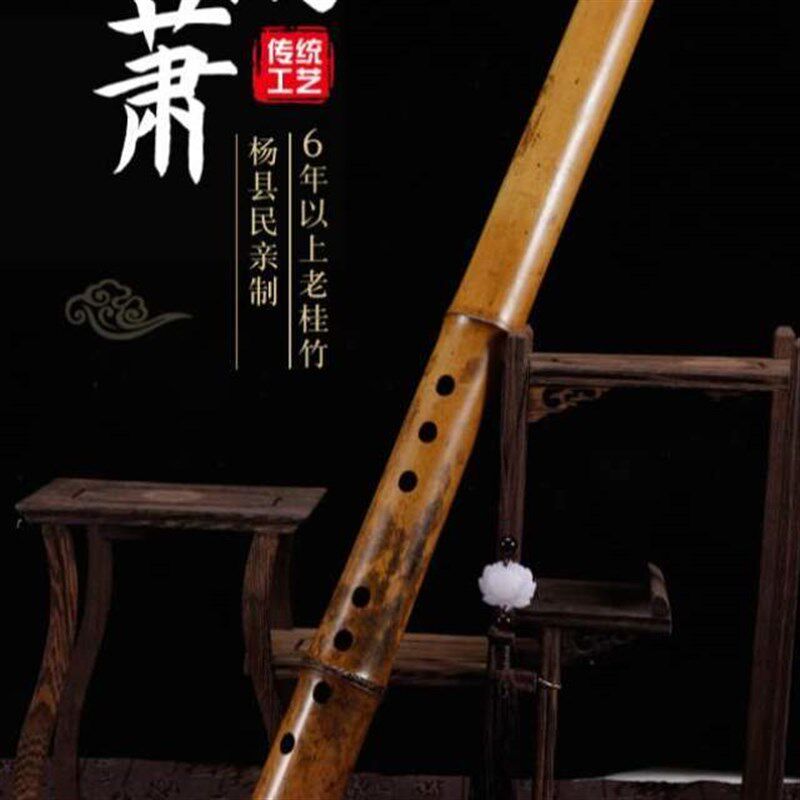 乐器尺八竹根单节成人萧8演奏孔竹箫初学大头洞箫桂幽包邮竹专业