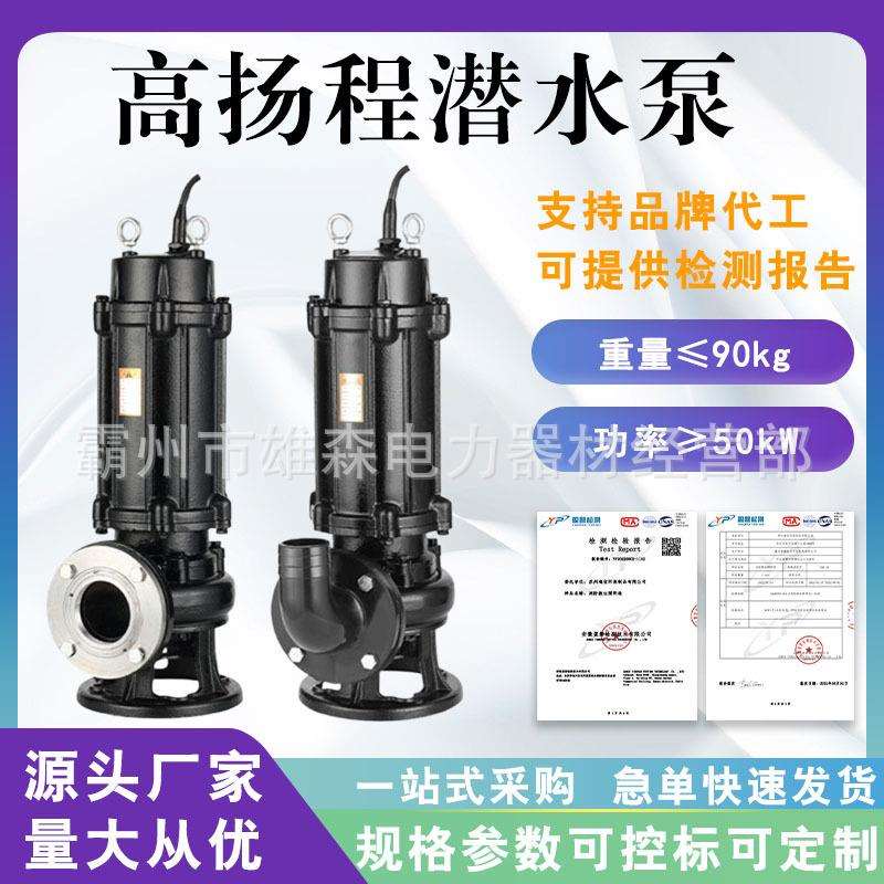 小型家用抽水机洪涝灾害农用田园灌溉抽水泵高扬程潜水排污泵