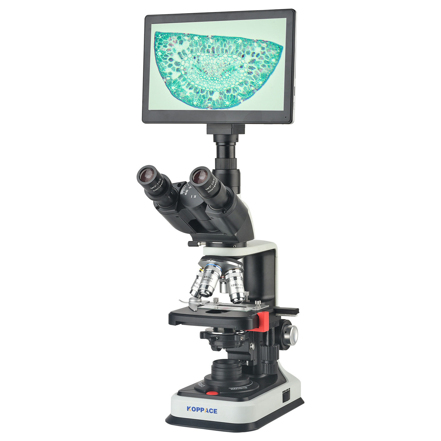 批发 40X-2500X电子生物显微镜 200万像素9寸屏 水产养殖显微镜