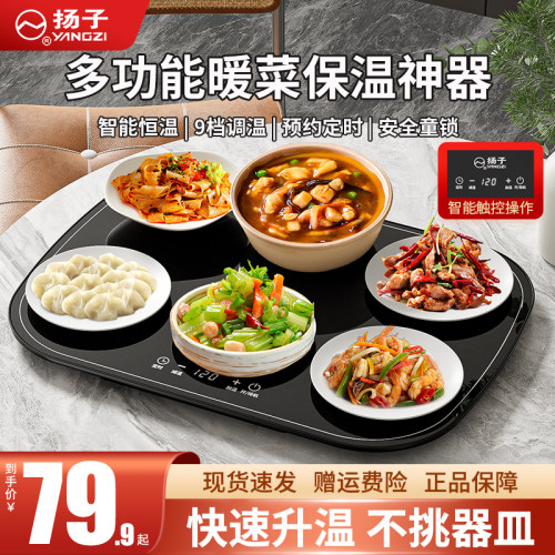 扬子多档调温定时暖菜保温板