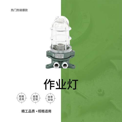 作业灯IMPA792058白炽作业灯具FB22合成树脂船用照明灯具DS7-2M