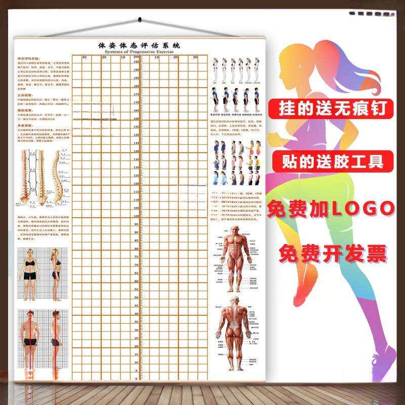 体态评估表墙纸贴式体测健身房瑜伽馆私教身体形姿矫正网格对比图