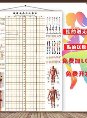 体态评估表墙纸贴式体测健身房瑜伽馆私教身体形姿矫正网格对比图