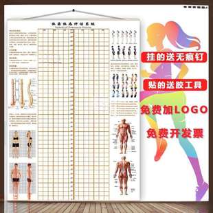 体态评估表墙纸贴式体测健身房瑜伽馆私教身体形姿矫正网格对比图