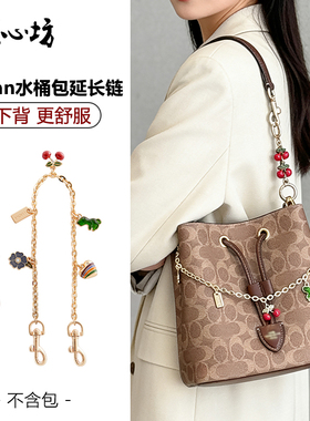 臻饰匠心坊适用于coach蔻驰水桶包rowan22延长链条加长肩带装饰链