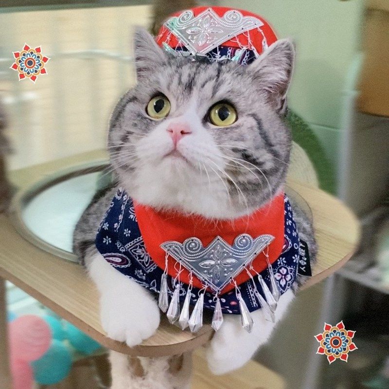 宠物民族风围脖帽子套装可爱猫咪服饰拍照道具英短美短猫头饰围嘴,宠物/宠物食品及用品,猫宠物服装/雨衣（新）,淘宝优惠券,粉丝福利购,淘宝优惠卷