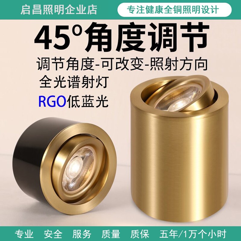 全铜明装射灯可调角度led天花客厅家用背景墙可调节轻奢明装筒灯