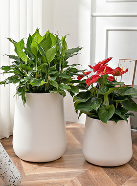 圆形大号高款自吸水客厅落地花盆白色简约大口径幸福树发财树花盆