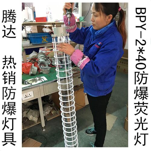 腾新防爆荧光灯bpy-t8-2*40w 双支管日光灯隔爆型外壳厂家