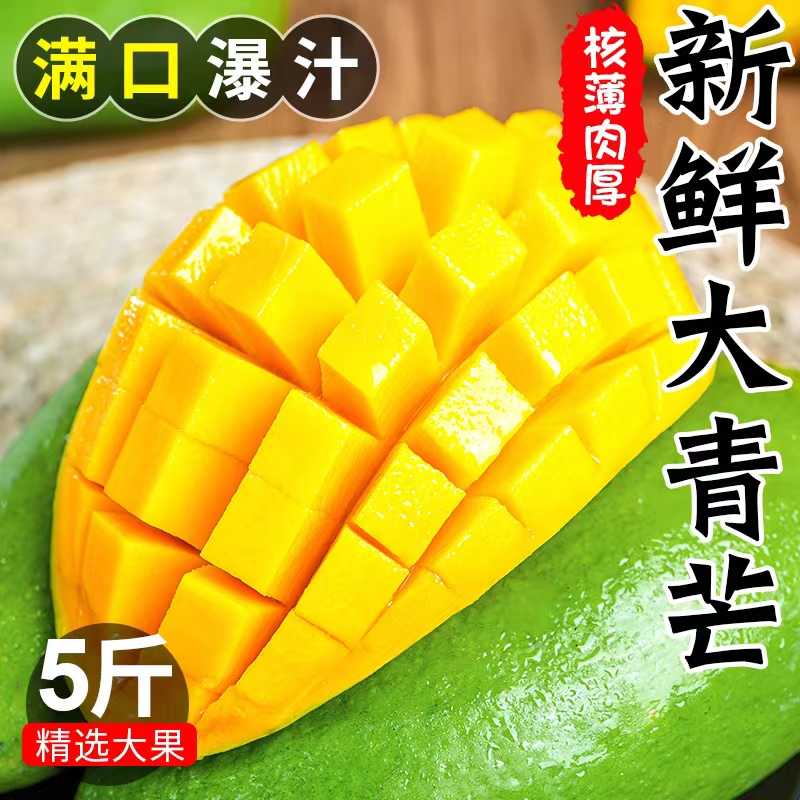 越南大青芒芒果肉厚核小个头大