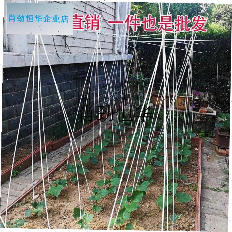 l黄瓜爬藤架杆番茄花架植物架子扶苗园艺搭O棚拱棚支架神器豆角西