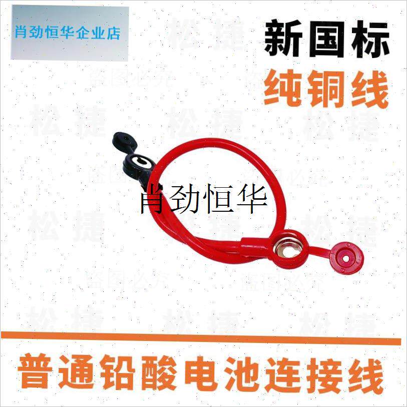 l九号电动车原厂铅酸保险电池连接线/5M0安温控连接线保险片