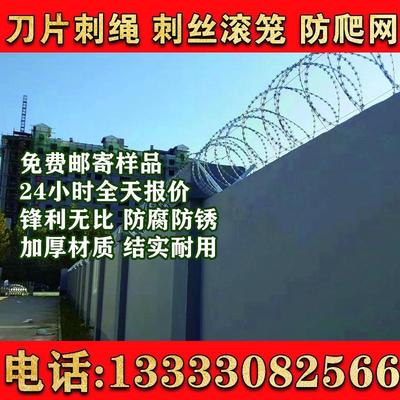 福建刀片刺绳防护网不锈钢刺丝滚笼刺网带刺铁丝防盗防爬网边境隔