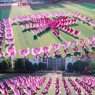 运动会入场创意道具开幕式道具变色翅膀舞蹈道具学校园团体操专用