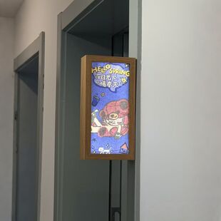 瑞幸泡泡玛特联名嘎子姐zsiga周边双面发光灯箱相框diy咖啡袋摆件