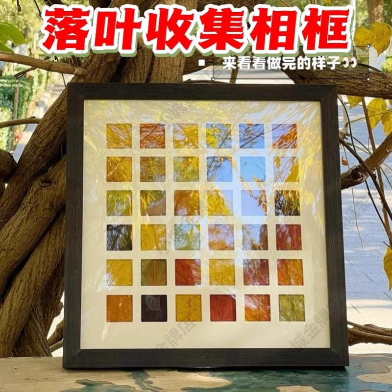 手工diy落叶树叶子标本48宫格