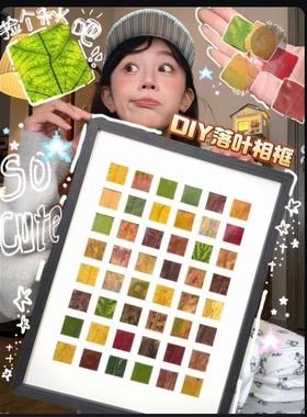 小红书同款落叶相框diy手工16248宫格收集框树叶子标本相画框实木