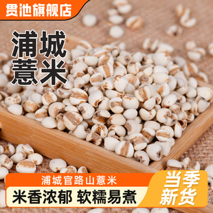 福建特产浦城薏米泡水小薏米仁山货五谷杂粮干货厨房烹煮食材