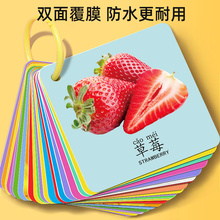 撕不烂认知卡宝宝幼儿识物片翻翻书