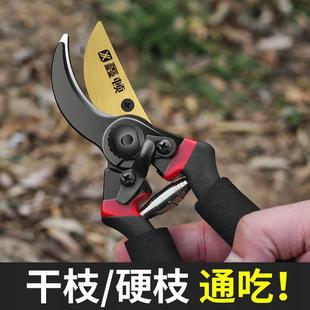 果树修枝剪园林树枝剪刀园艺剪花剪修剪专用粗枝剪子 厂家供应