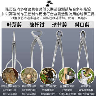 盆景修剪专用工具叶芽剪球节剪大号球形剪不锈钢园艺剪刀工具套装