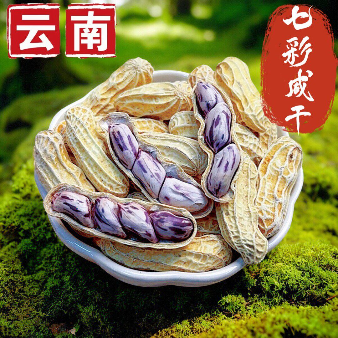 云南七彩花生水煮咸干咸香酥脆带壳熟野地花生露营野餐