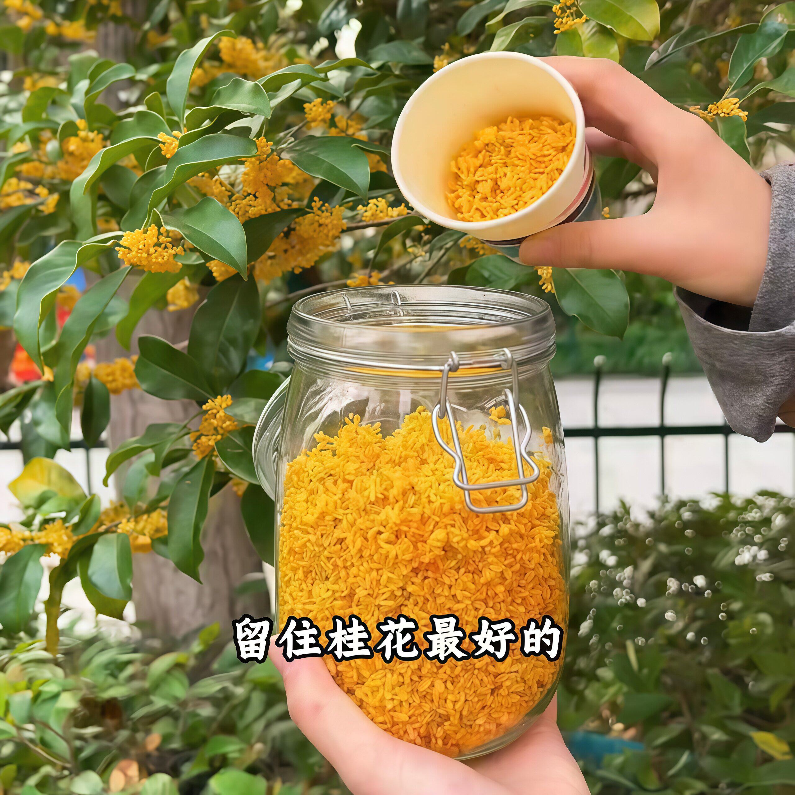 家用玻璃卡扣密封防潮果酱罐