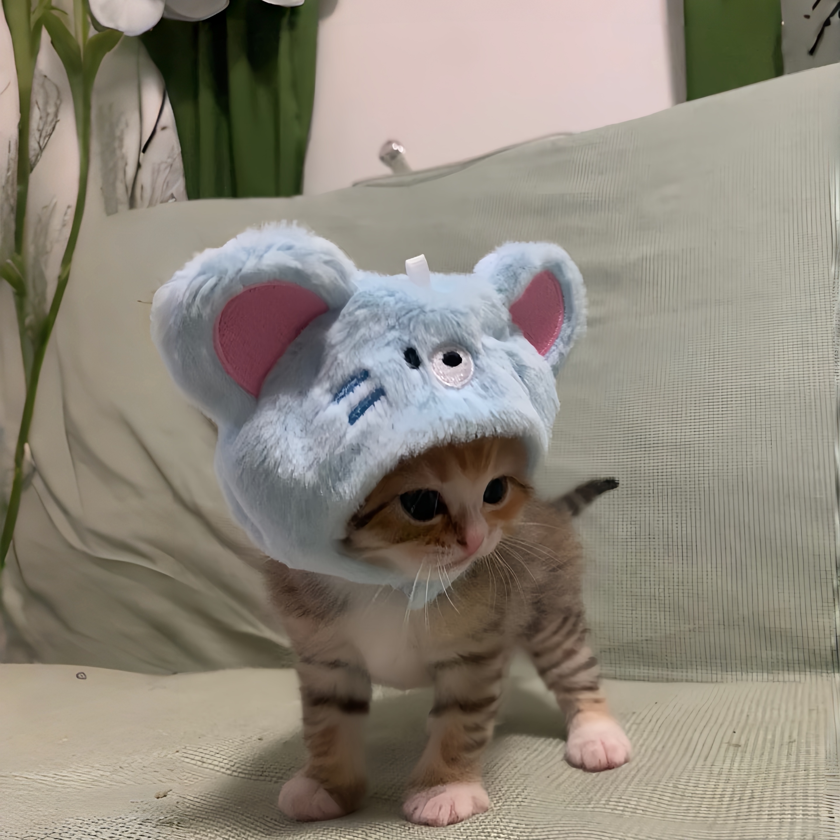 是咪老鼠猫猫毛绒头套拍照出片