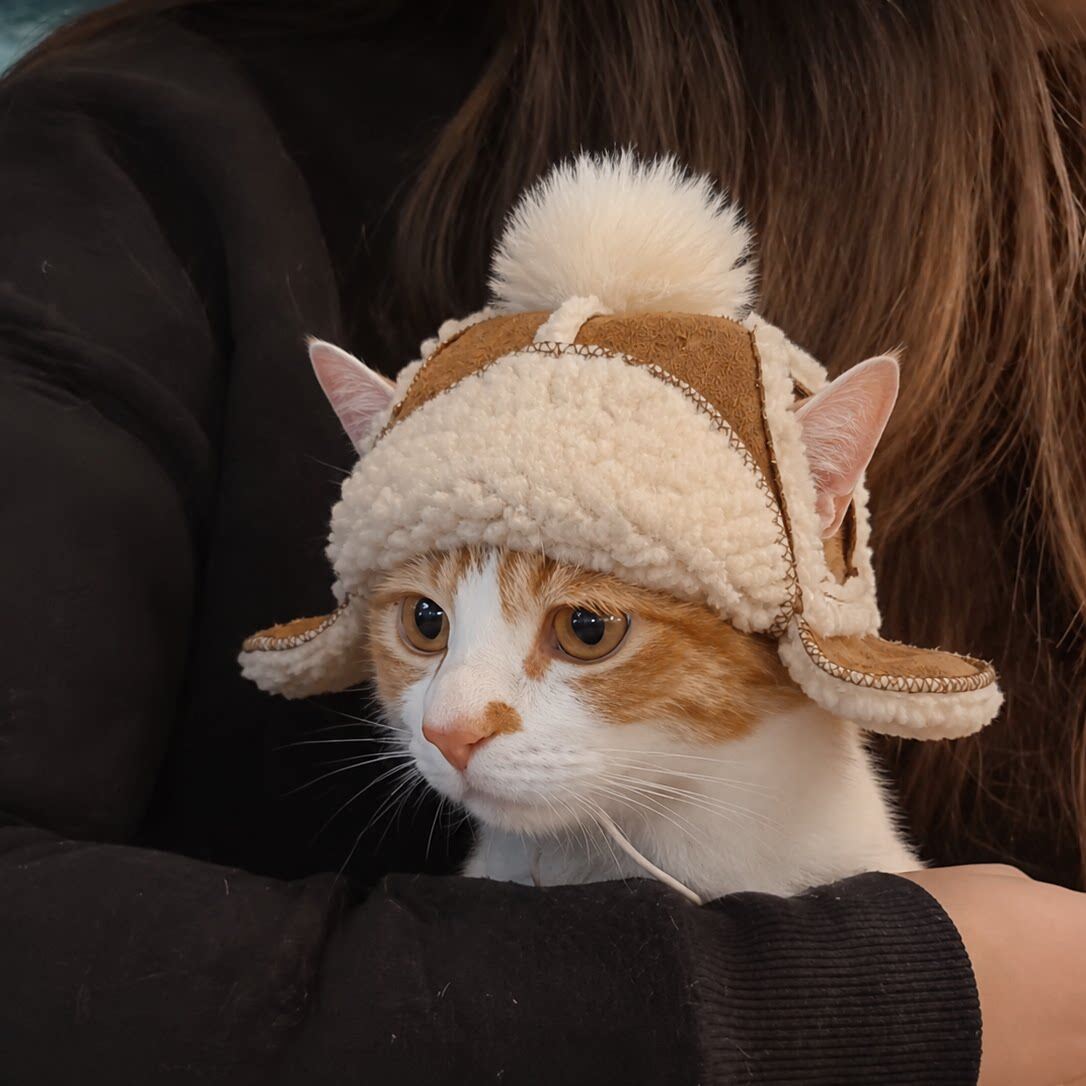 猫狗外出仿羊皮毛绒漏耳飞机帽