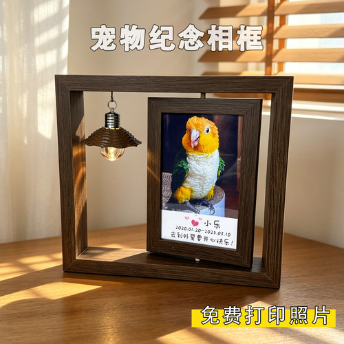 宠物毛发纪念相框猫咪照片定制