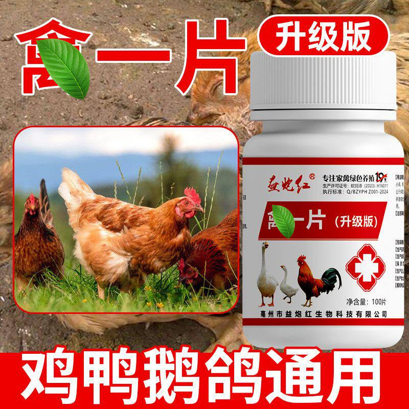 禽用片鸡鸭鹅呼吸道呼噜咳喘