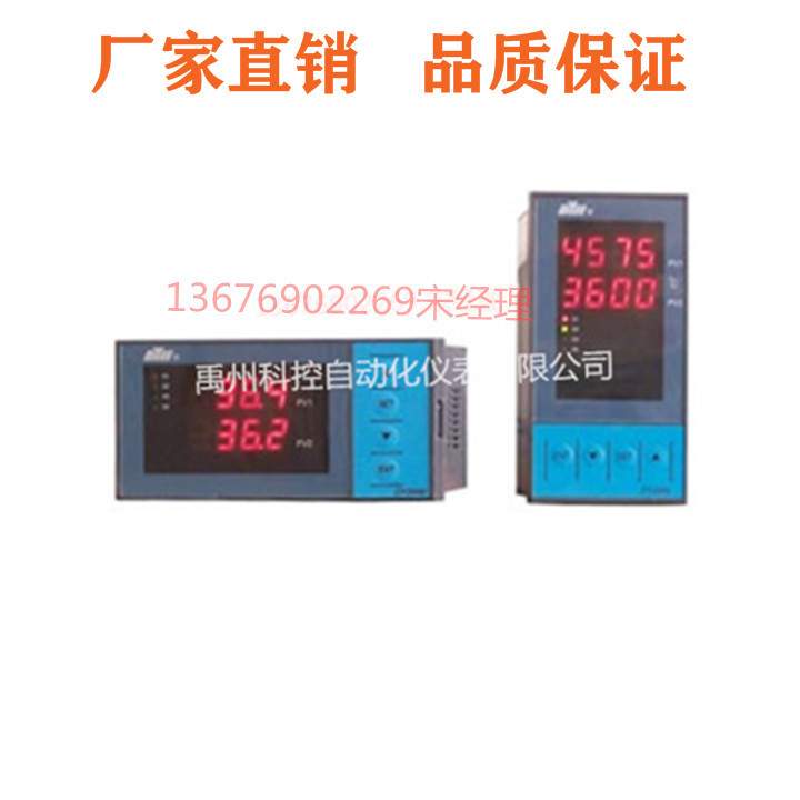 DY221WE/DY21WE/DY22WE/DY26WE/DY29WE双通数显表温控仪器