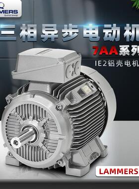VEM同款 德国LAMMERS电动机7AA/12AA/13AA/14BG/1TZ9系列电机立式