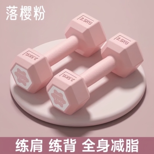 德国哑铃女士健身家用器材小哑铃2kg2.5公斤3KG一对男士杠铃壶铃
