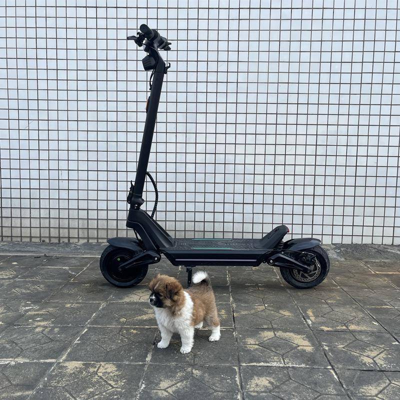 工厂直销A8U城市户外骑行户外代步大功率双驱电动滑板车折叠便携