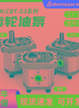 齿轮泵液压油泵CBN/T-E F 304 306 310 314 316 320 325 液压泵站