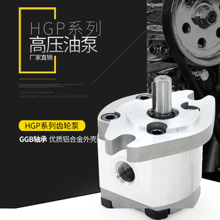 F8R HGP F6R F1R 压齿轮泵油泵 液压油定量齿轮