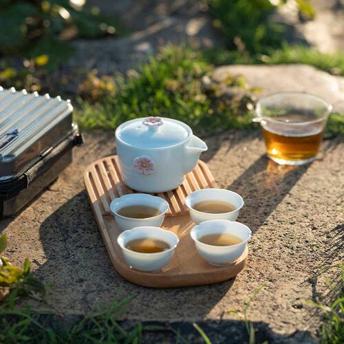 何时宜 户外喝茶装备便携式旅行茶具套装露营出差小套防烫快客杯