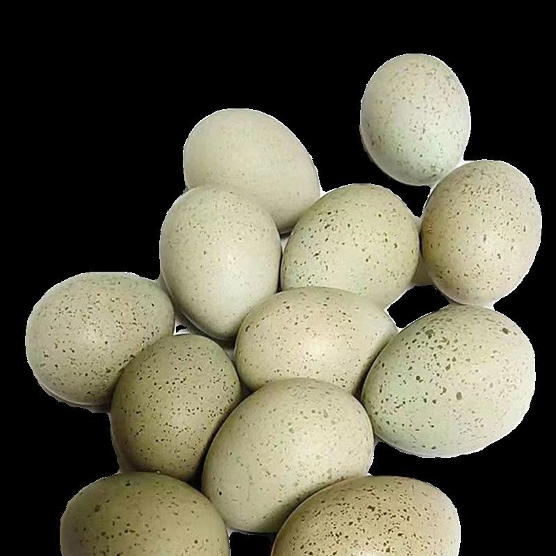 德系变异宠物鸡种蛋受精蛋可孵化蛋礼服纯白瓦灰网红阳台迷你鹌鹑,宠物/宠物食品及用品,宠物鸡,淘宝优惠券,粉丝福利购,淘宝优惠卷