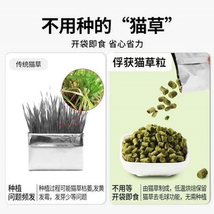 包 猫咪零食即食猫草化毛球猫草片粒30g 俘获