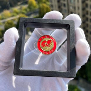 九三学社徽章logo组织会议正装胸牌定做金属标志纪念胸针纯铜