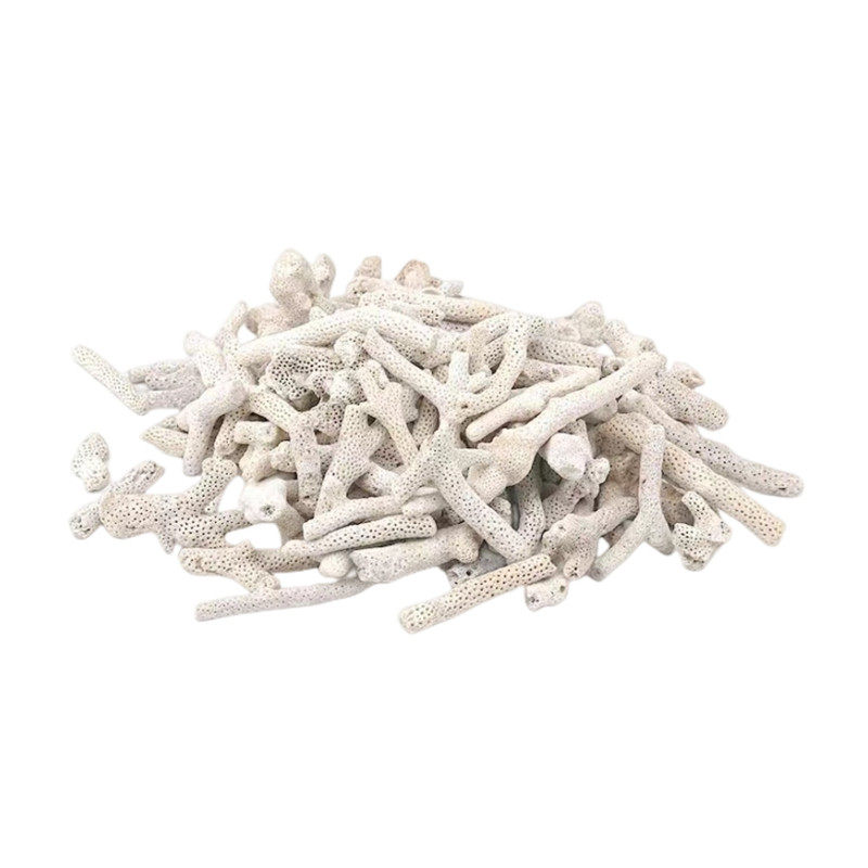 珊瑚砂滤材鱼缸水族水产过滤箱海鲜池滤筒造景培养菌专用珊瑚骨石,宠物/宠物食品及用品,过滤材料,淘宝优惠券,粉丝福利购,淘宝优惠卷