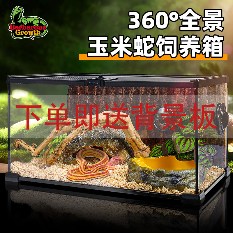 BG超白玻璃成体宠物蛇饲养箱爬宠饲养缸养蛇专用雨林造景生态缸