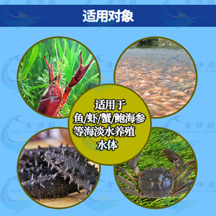 解毒碧水安水产养殖调水净水解藻毒鱼虾蟹养殖用果酸有机酸解毒剂